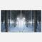 Designart - Winter Forest with Dark Woods - Landscape Canvas Art Print